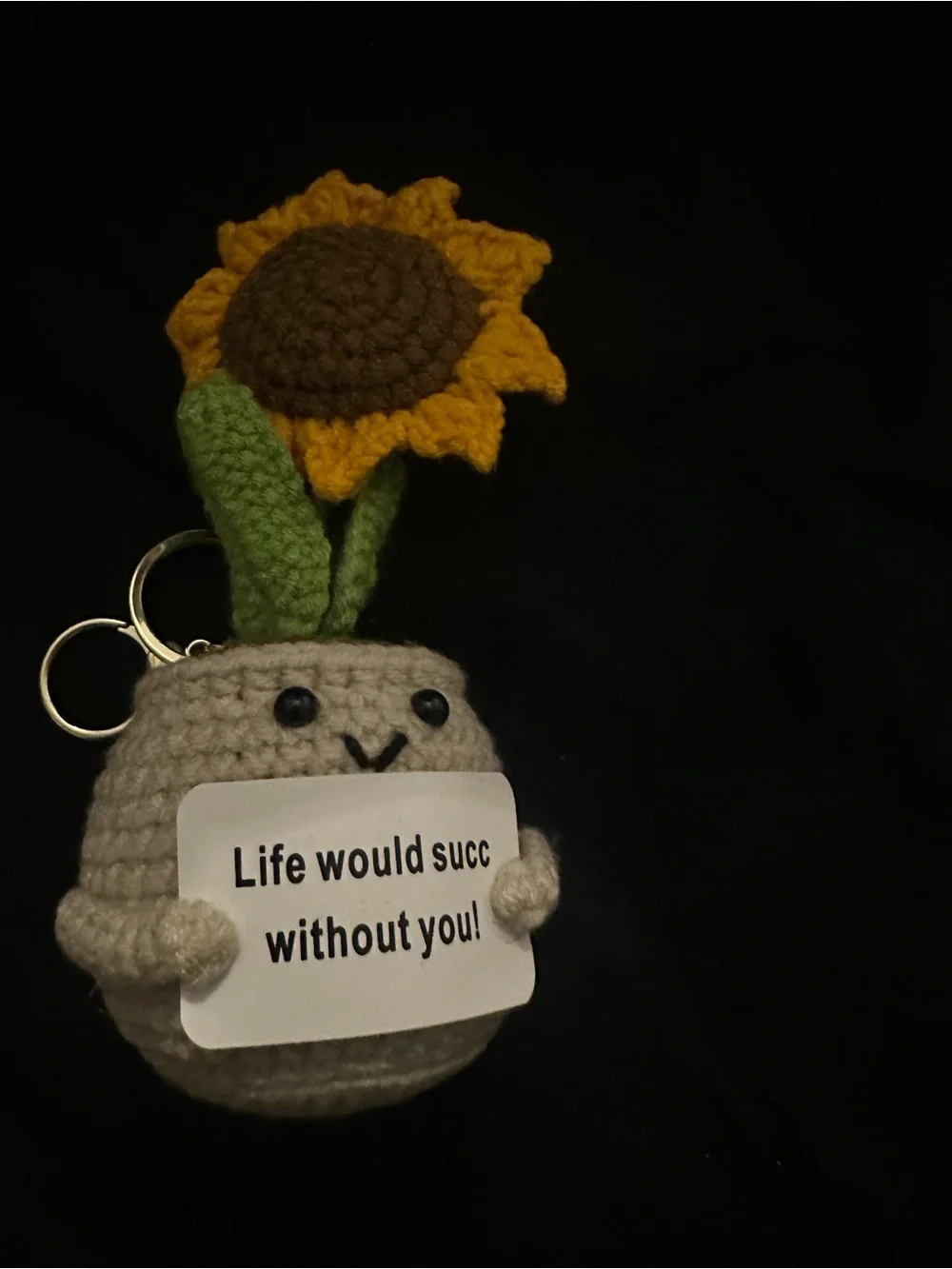Handmade Beige & Yellow Crochet Succulent Key/ Card Holder